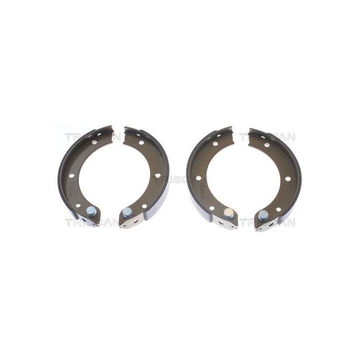 Stabdžių trinkelių komplektas, stovėjimo stabdis TRISCAN 8100 20003