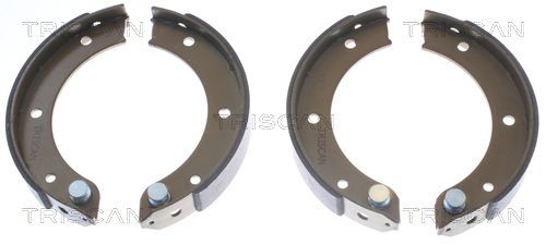 Stabdžių trinkelių komplektas, stovėjimo stabdis TRISCAN 8100 20003