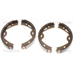 Stabdžių trinkelių komplektas, stovėjimo stabdis TRISCAN 8100 20005