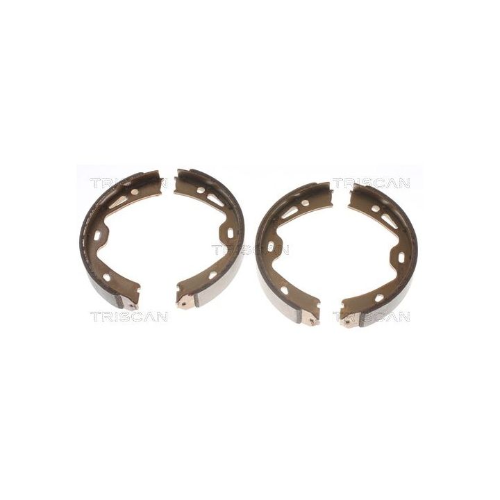 Stabdžių trinkelių komplektas, stovėjimo stabdis TRISCAN 8100 20005