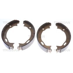 Stabdžių trinkelių komplektas, stovėjimo stabdis TRISCAN 8100 23028