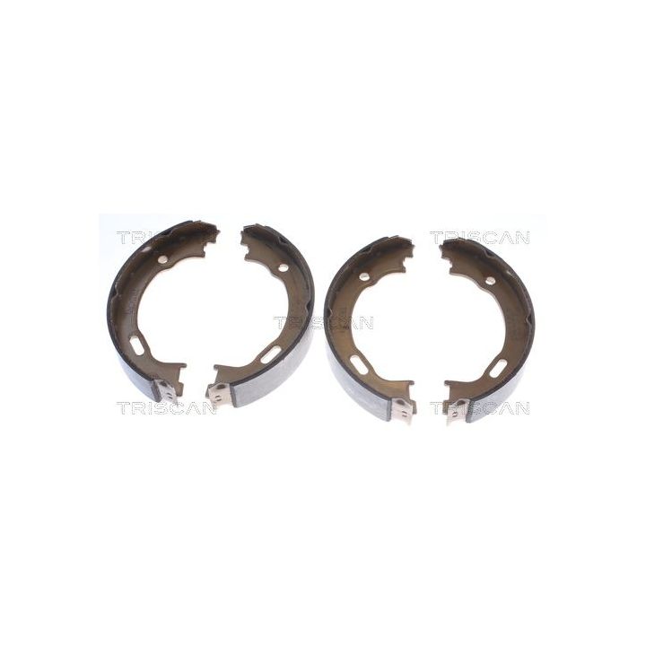 Stabdžių trinkelių komplektas, stovėjimo stabdis TRISCAN 8100 23028
