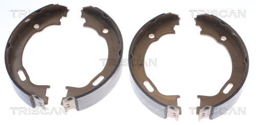 Stabdžių trinkelių komplektas, stovėjimo stabdis TRISCAN 8100 23028
