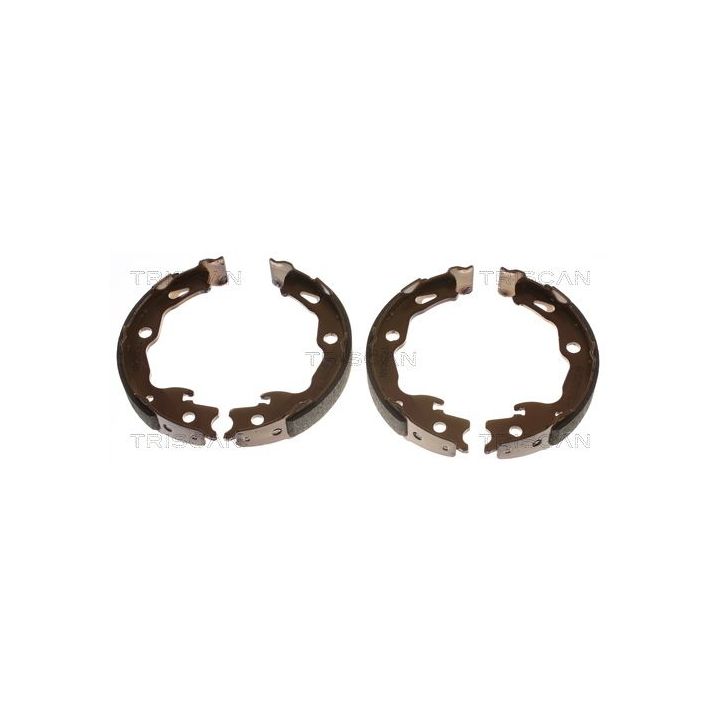 Stabdžių trinkelių komplektas, stovėjimo stabdis TRISCAN 8100 25009