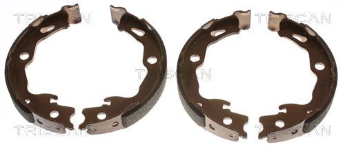 Stabdžių trinkelių komplektas, stovėjimo stabdis TRISCAN 8100 25009