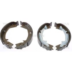 Stabdžių trinkelių komplektas, stovėjimo stabdis TRISCAN 8100 43016