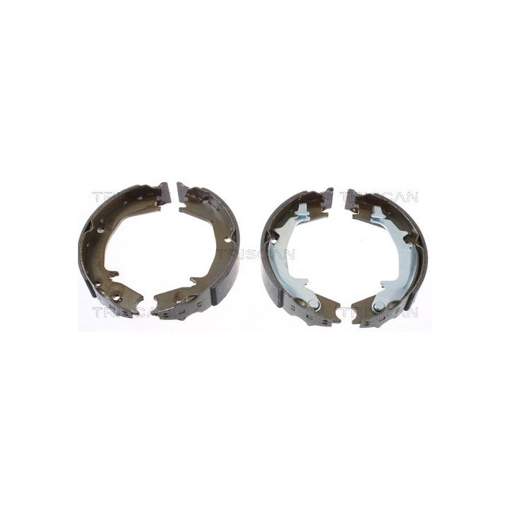 Stabdžių trinkelių komplektas, stovėjimo stabdis TRISCAN 8100 43016