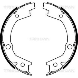Stabdžių trinkelių komplektas, stovėjimo stabdis TRISCAN 8100 43020