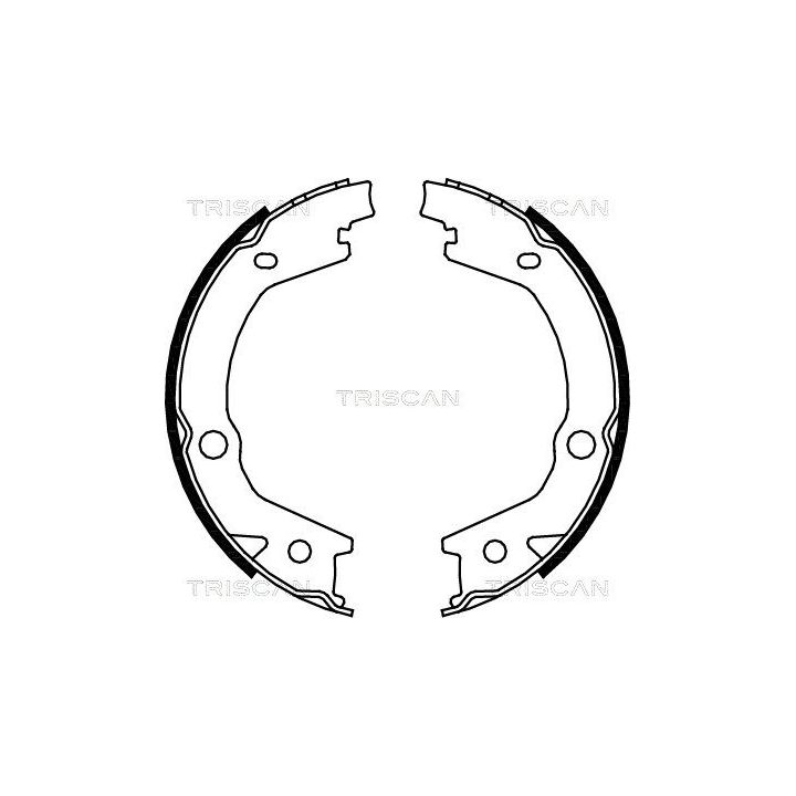 Stabdžių trinkelių komplektas, stovėjimo stabdis TRISCAN 8100 43020