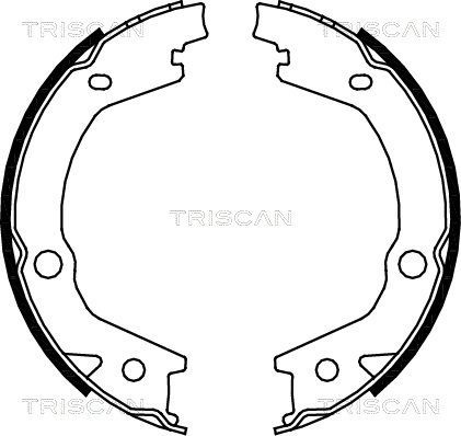 Stabdžių trinkelių komplektas, stovėjimo stabdis TRISCAN 8100 43020