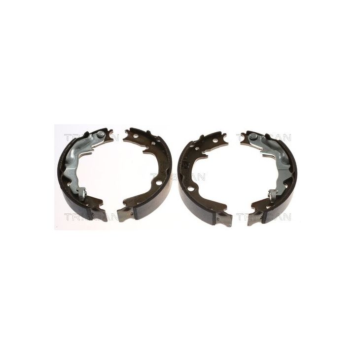 Stabdžių trinkelių komplektas, stovėjimo stabdis TRISCAN 8100 43023