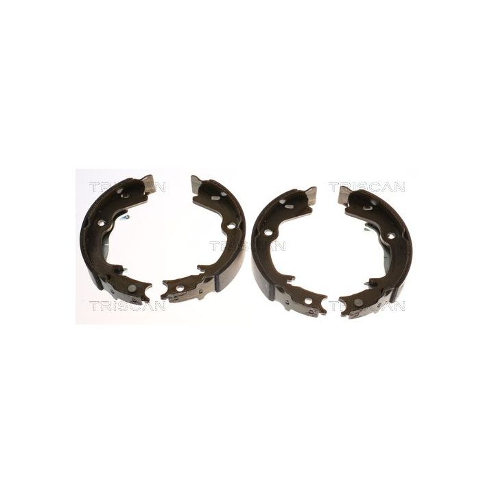 Stabdžių trinkelių komplektas, stovėjimo stabdis TRISCAN 8100 43023