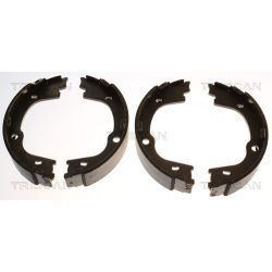 Stabdžių trinkelių komplektas, stovėjimo stabdis TRISCAN 8100 43026