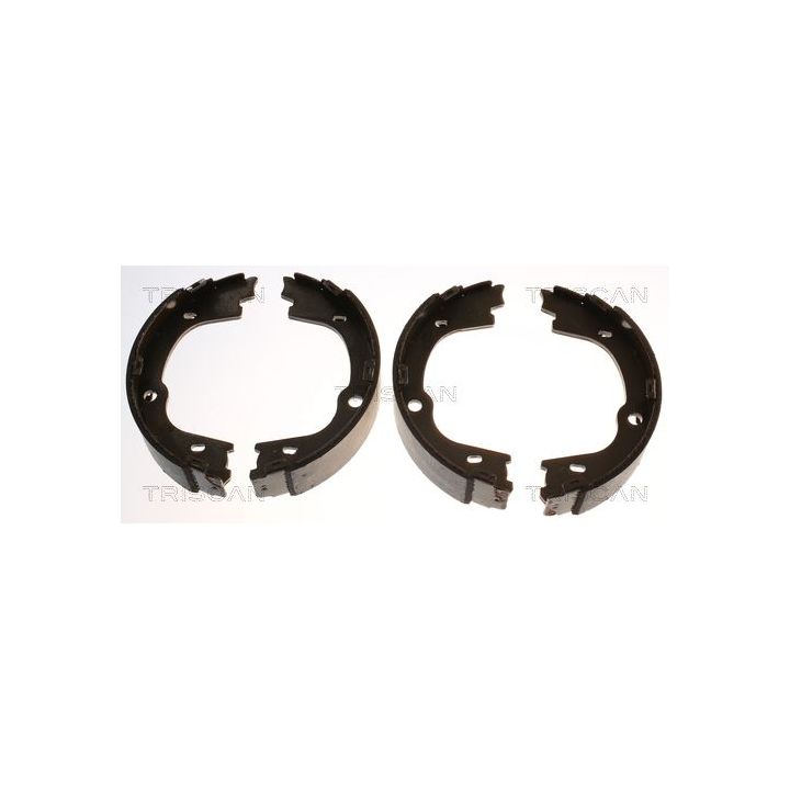 Stabdžių trinkelių komplektas, stovėjimo stabdis TRISCAN 8100 43026