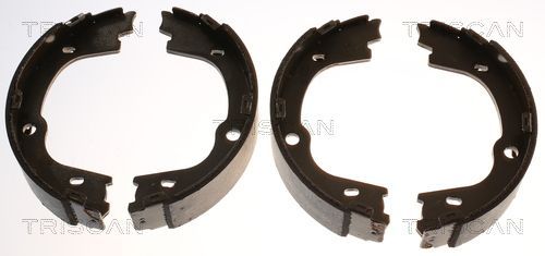 Stabdžių trinkelių komplektas, stovėjimo stabdis TRISCAN 8100 43026