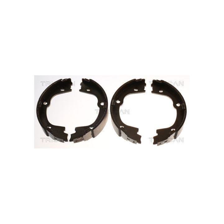 Stabdžių trinkelių komplektas, stovėjimo stabdis TRISCAN 8100 43026