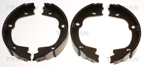 Stabdžių trinkelių komplektas, stovėjimo stabdis TRISCAN 8100 43026