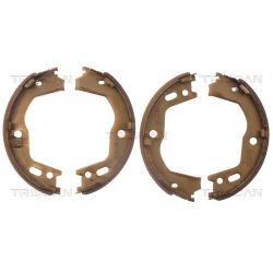 Stabdžių trinkelių komplektas, stovėjimo stabdis TRISCAN 8100 43028