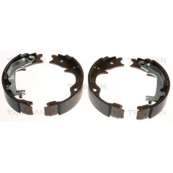 Stabdžių trinkelių komplektas, stovėjimo stabdis TRISCAN 8100 43029