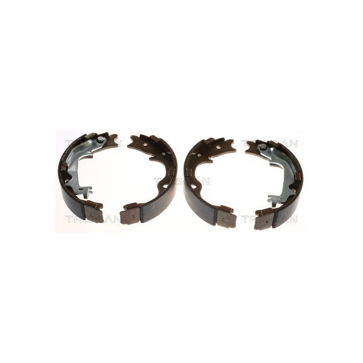 Stabdžių trinkelių komplektas, stovėjimo stabdis TRISCAN 8100 43029