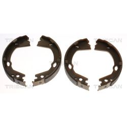 Stabdžių trinkelių komplektas, stovėjimo stabdis TRISCAN 8100 43030