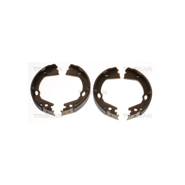 Stabdžių trinkelių komplektas, stovėjimo stabdis TRISCAN 8100 43030