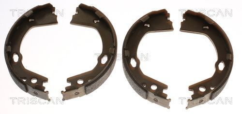 Stabdžių trinkelių komplektas, stovėjimo stabdis TRISCAN 8100 43030