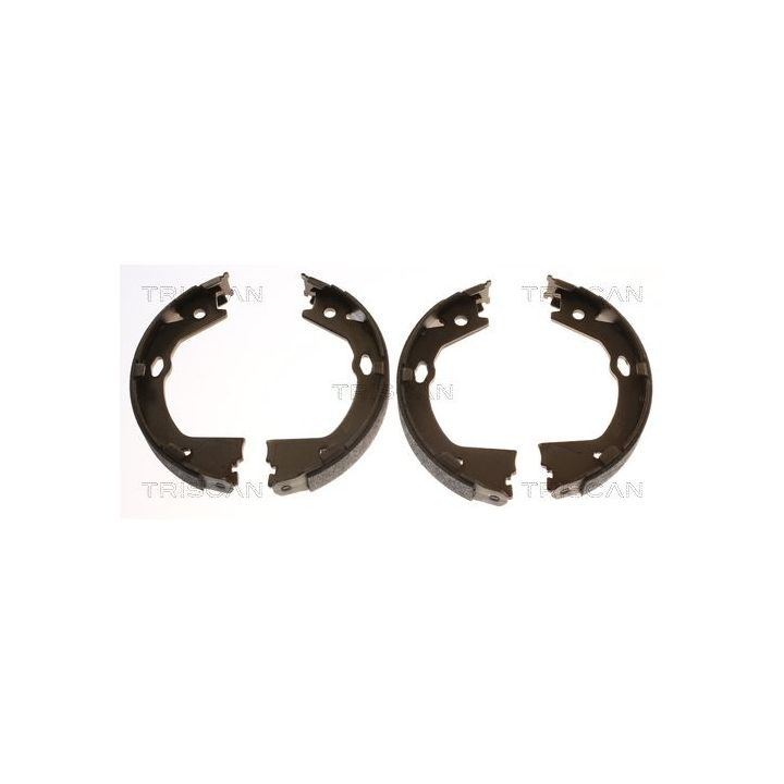 Stabdžių trinkelių komplektas, stovėjimo stabdis TRISCAN 8100 43030