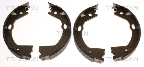 Stabdžių trinkelių komplektas, stovėjimo stabdis TRISCAN 8100 43030