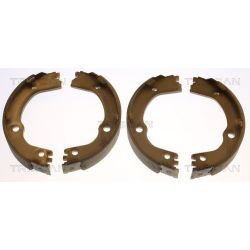 Stabdžių trinkelių komplektas, stovėjimo stabdis TRISCAN 8100 43628