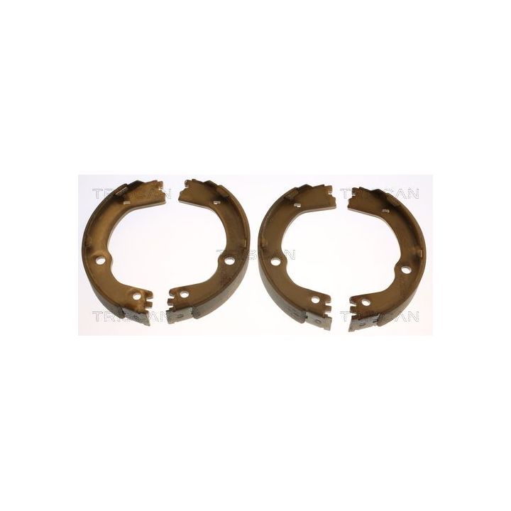 Stabdžių trinkelių komplektas, stovėjimo stabdis TRISCAN 8100 43628