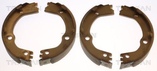 Stabdžių trinkelių komplektas, stovėjimo stabdis TRISCAN 8100 43628