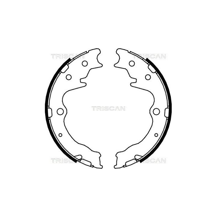 Stabdžių trinkelių komplektas, stovėjimo stabdis TRISCAN 8100 50003