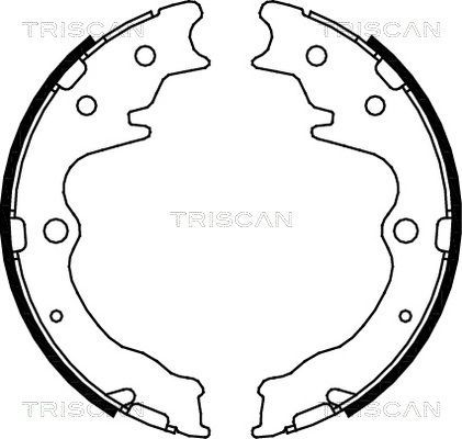 Stabdžių trinkelių komplektas, stovėjimo stabdis TRISCAN 8100 50003