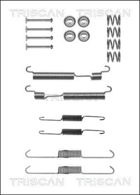 Priedų komplektas, stabdžių trinkelės TRISCAN 8105 432001