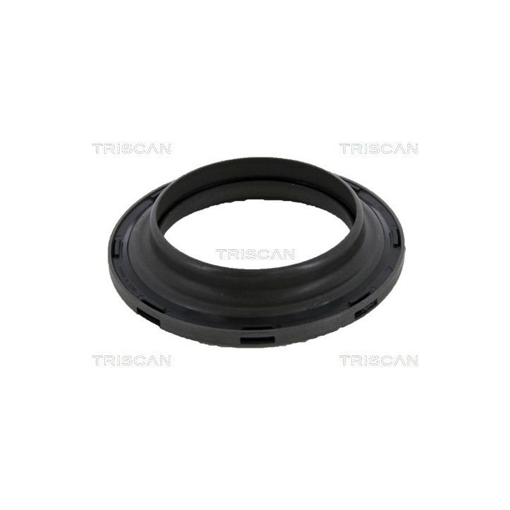 Frikcinis guolis, pakabos statramsčio atramos montavimas TRISCAN 8500 10906