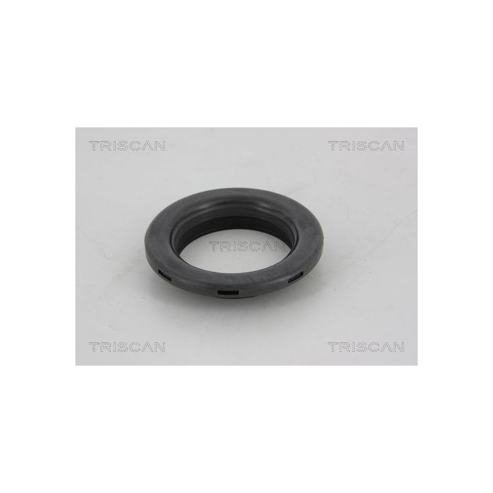 Frikcinis guolis, pakabos statramsčio atramos montavimas TRISCAN 8500 10906