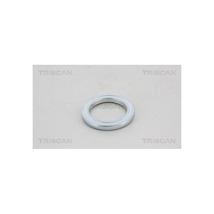 Frikcinis guolis, pakabos statramsčio atramos montavimas TRISCAN 8500 10907