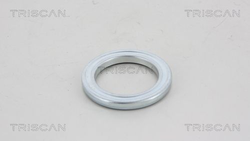 Frikcinis guolis, pakabos statramsčio atramos montavimas TRISCAN 8500 10907