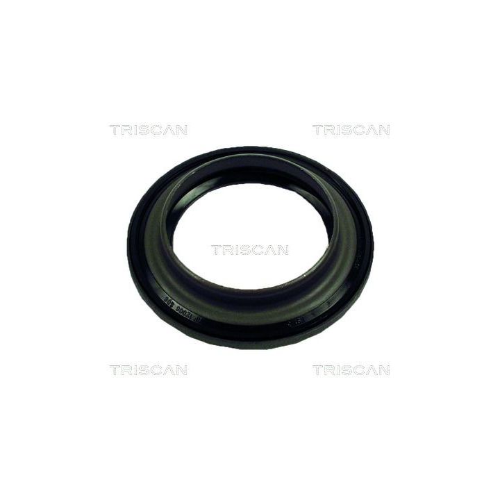 Frikcinis guolis, pakabos statramsčio atramos montavimas TRISCAN 8500 10908