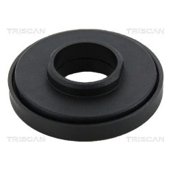 Frikcinis guolis, pakabos statramsčio atramos montavimas TRISCAN 8500 10942