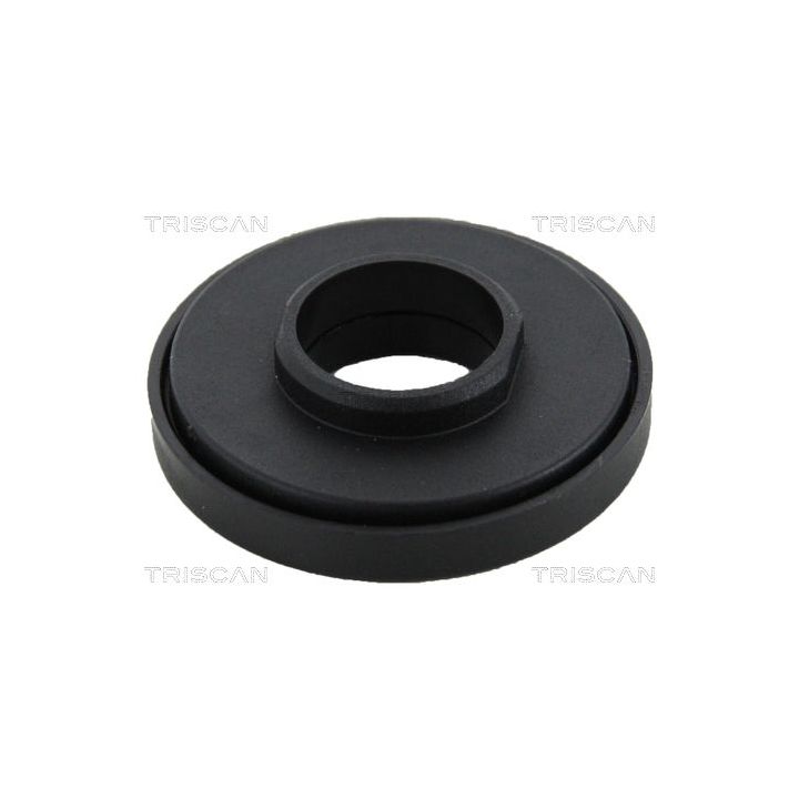 Frikcinis guolis, pakabos statramsčio atramos montavimas TRISCAN 8500 10942