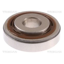 Frikcinis guolis, pakabos statramsčio atramos montavimas TRISCAN 8500 10947