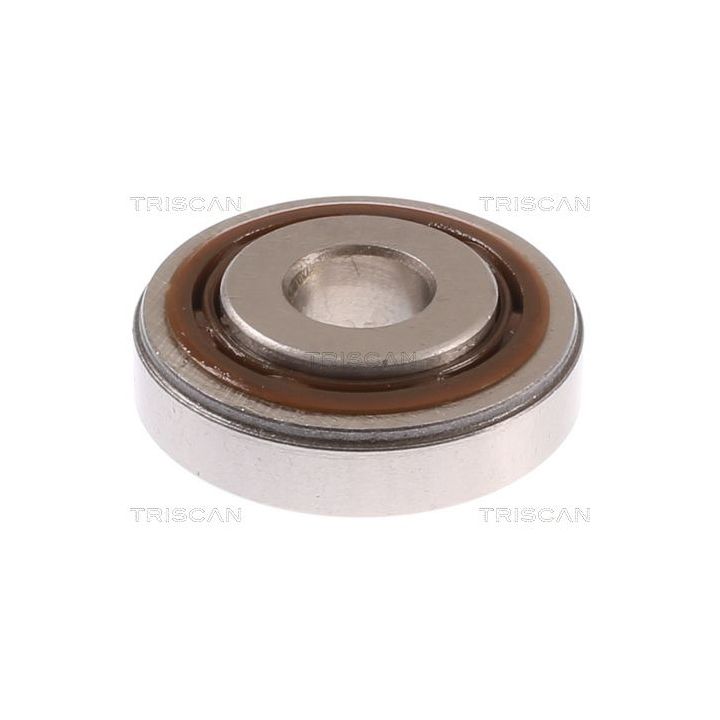 Frikcinis guolis, pakabos statramsčio atramos montavimas TRISCAN 8500 10947