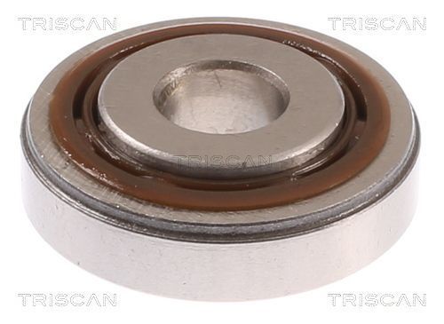 Frikcinis guolis, pakabos statramsčio atramos montavimas TRISCAN 8500 10947