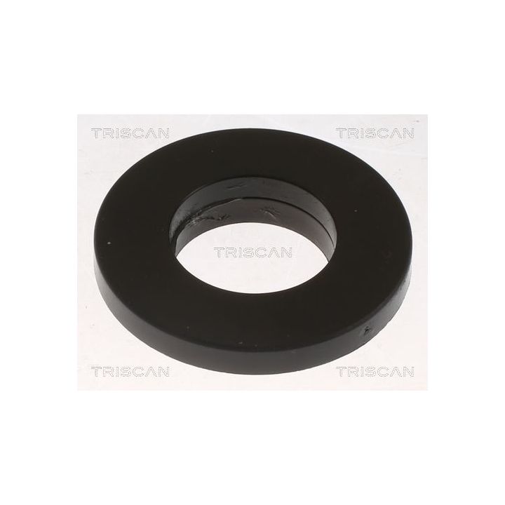 Frikcinis guolis, pakabos statramsčio atramos montavimas TRISCAN 8500 10961