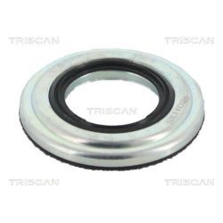 Frikcinis guolis, pakabos statramsčio atramos montavimas TRISCAN 8500 13919