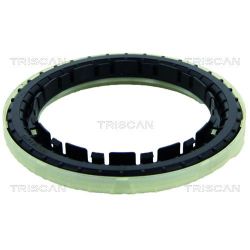 Frikcinis guolis, pakabos statramsčio atramos montavimas TRISCAN 8500 43920