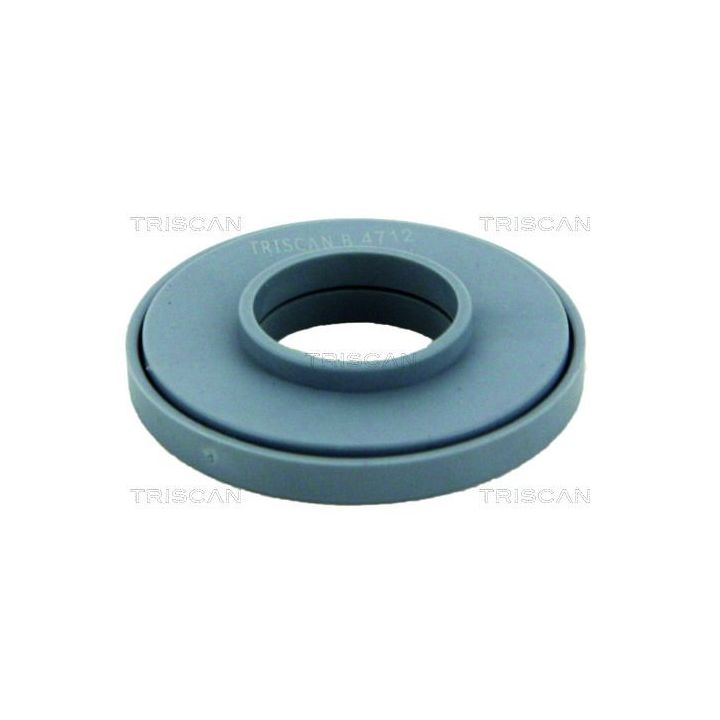 Frikcinis guolis, pakabos statramsčio atramos montavimas TRISCAN 8500 50917