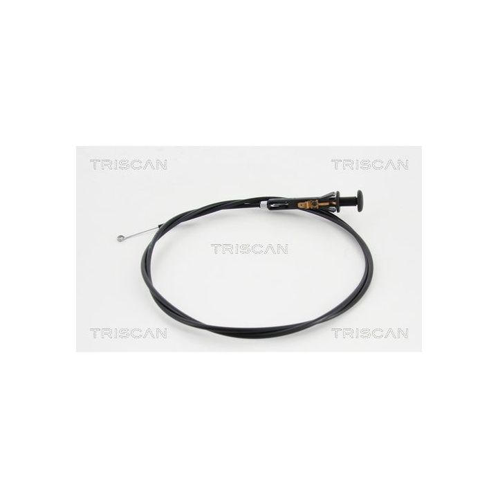 Droselio velenas, karbiuratorius TRISCAN 8140 25503